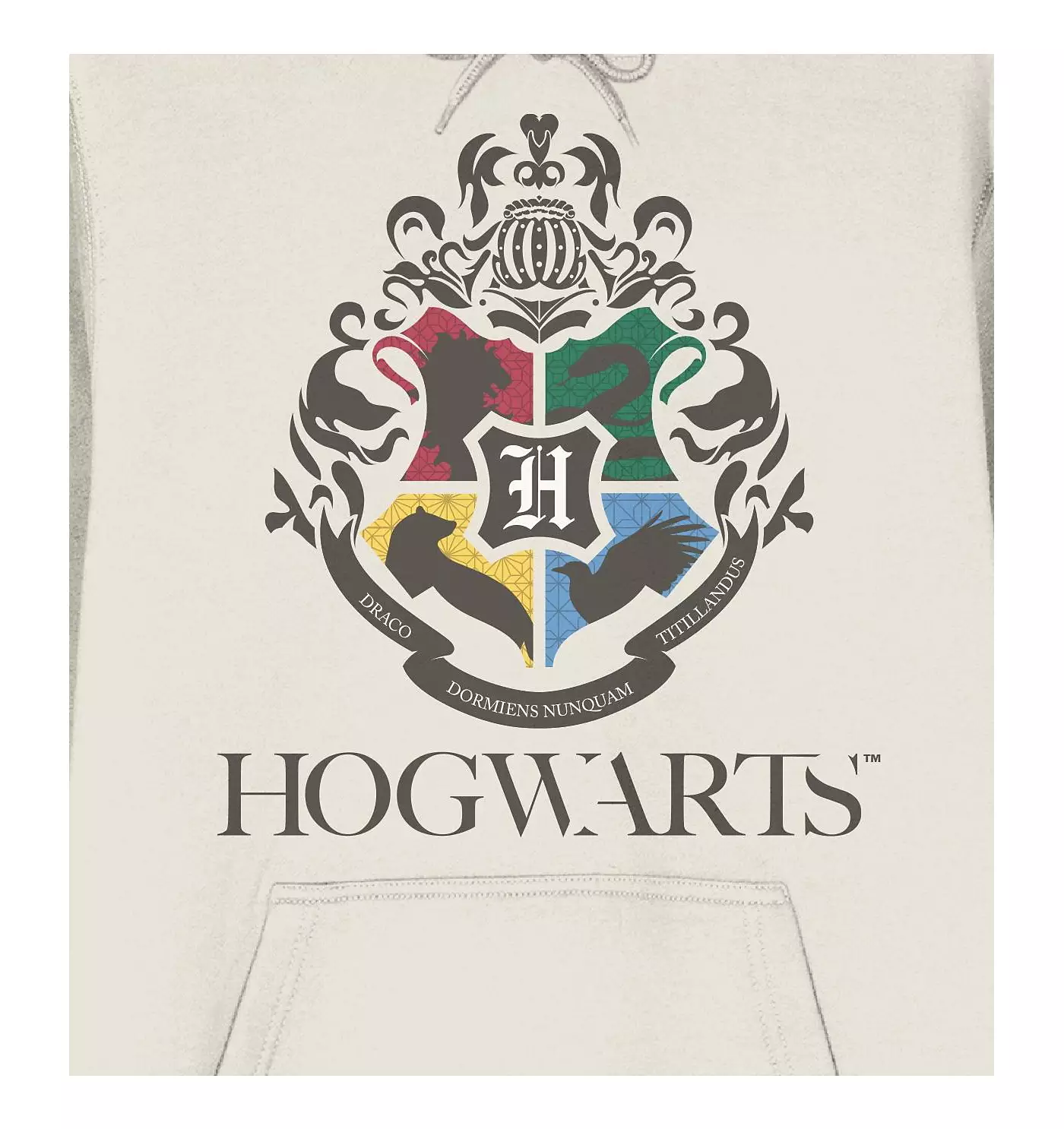 Толстовка с капюшоном для взрослых с длинными рукавами и гербом Хогвартса в стиле Гарри Поттера, размер XL