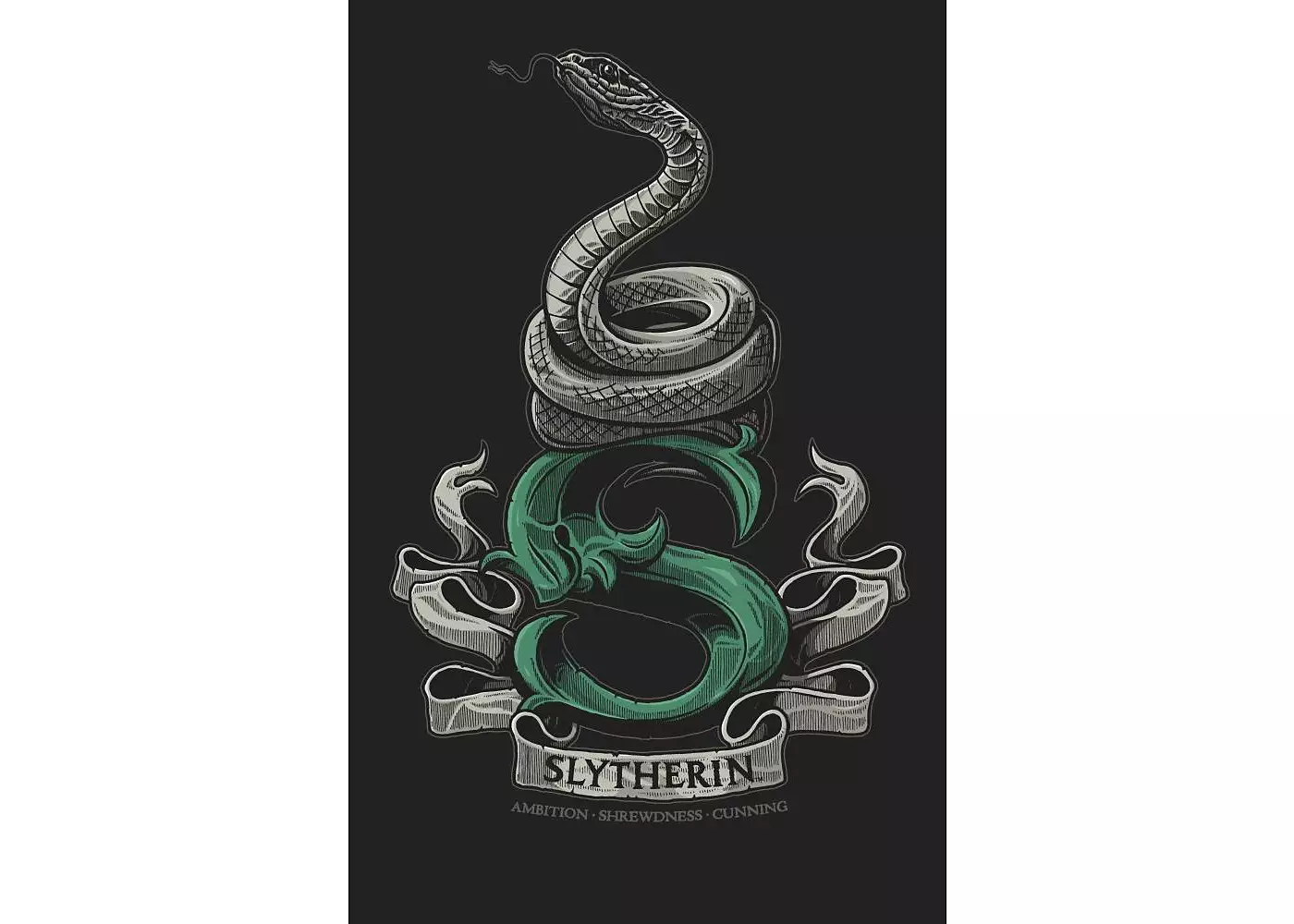 Мужская футболка Harry Potter Slytherin Snake черная-4XL