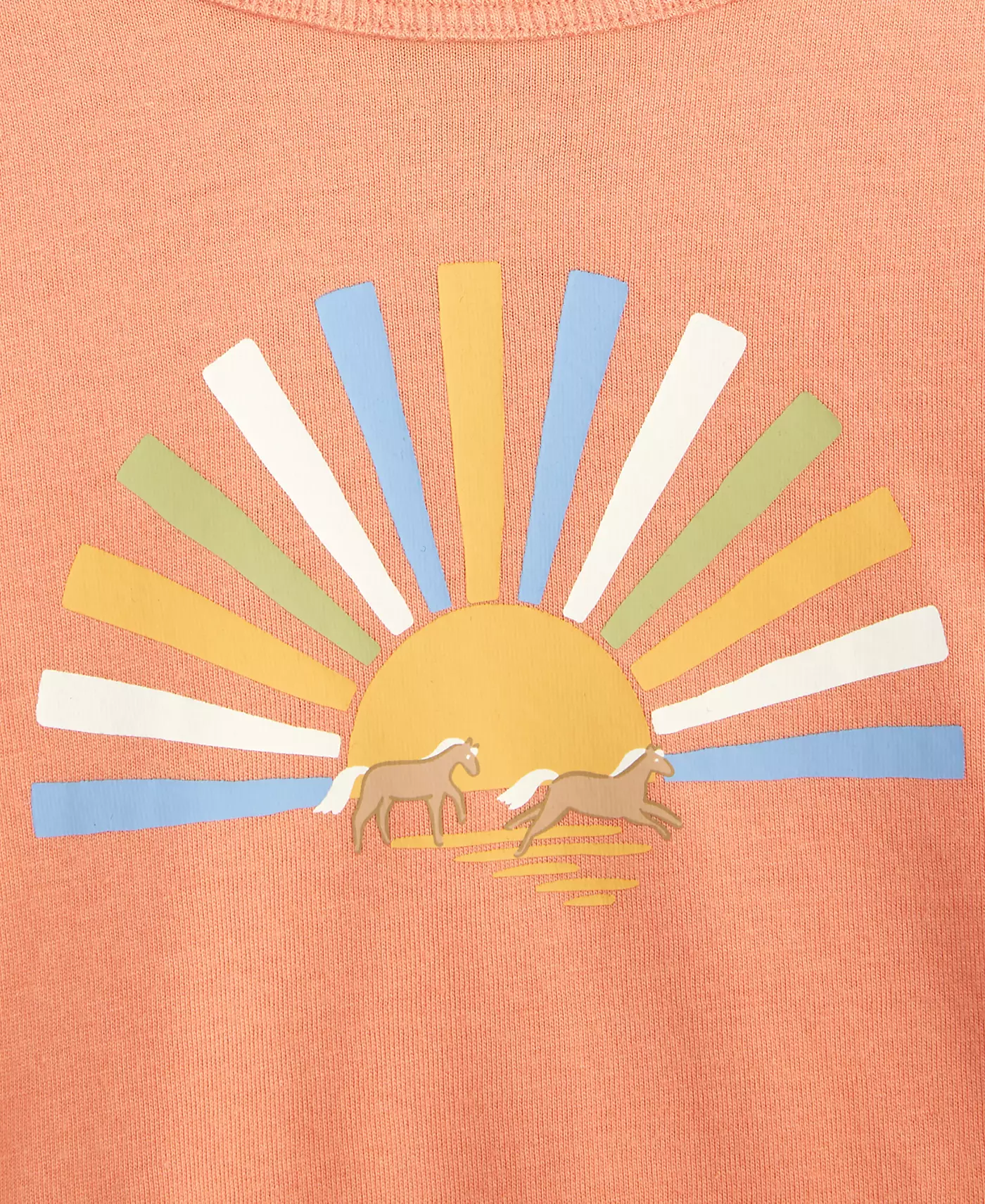 Первые впечатления от топа с длинными рукавами Horse Horizon для мальчиков, созданного для Macy's