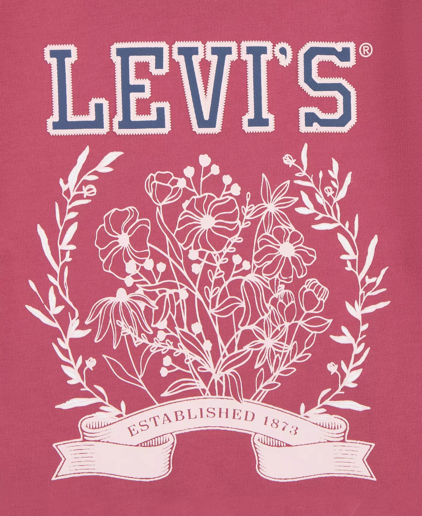 Футболка Levi's Toddler Collegiate Oversize
