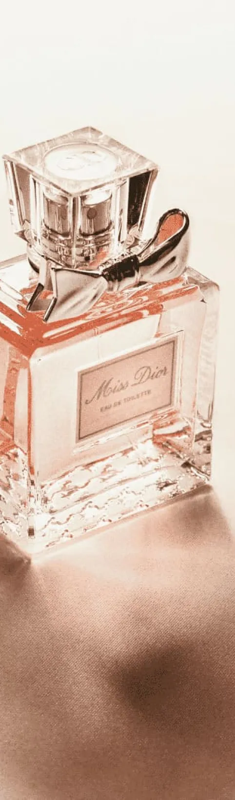 Погружение в мир ароматов