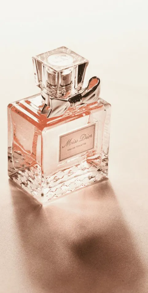 Погружение в мир ароматов