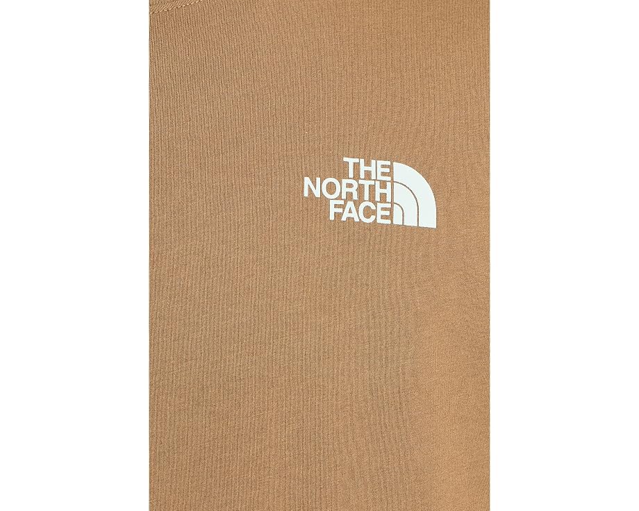 The North Face футболка Evolution TNF NSE Regular с коротким рукавом Caraway Seed