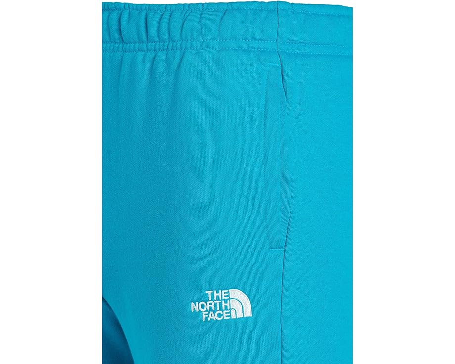 Штаны The North Face Kids Evolution Simple Dome из велюра