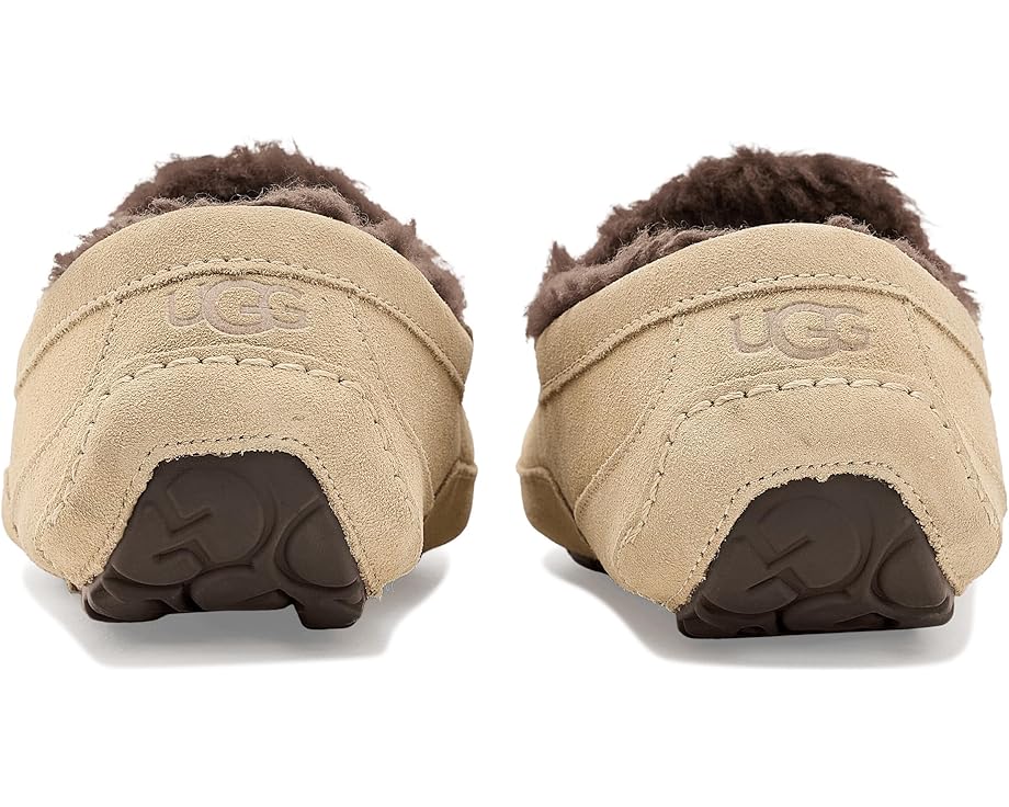 Тапочки UGG Ascot из натуральной замши с подкладкой UGGplush