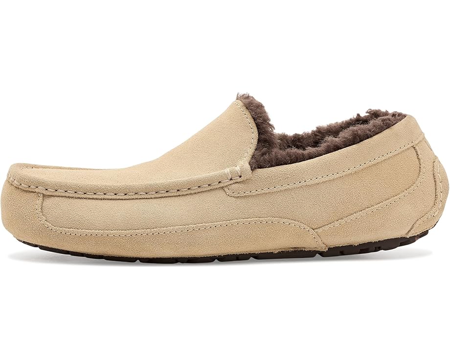 Тапочки UGG Ascot из натуральной замши с подкладкой UGGplush