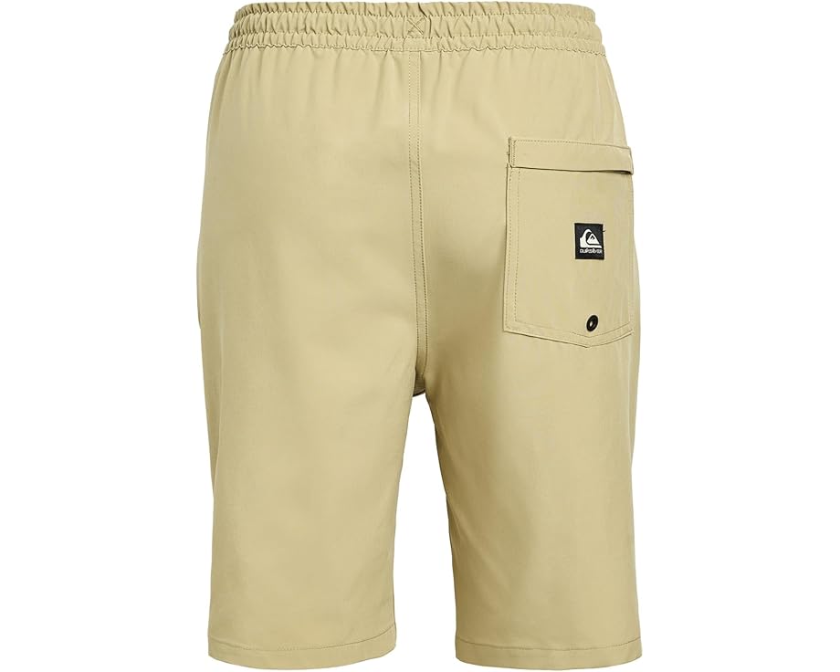 Детские плавательные шорты Taxer Amphibian с карманами Quiksilver