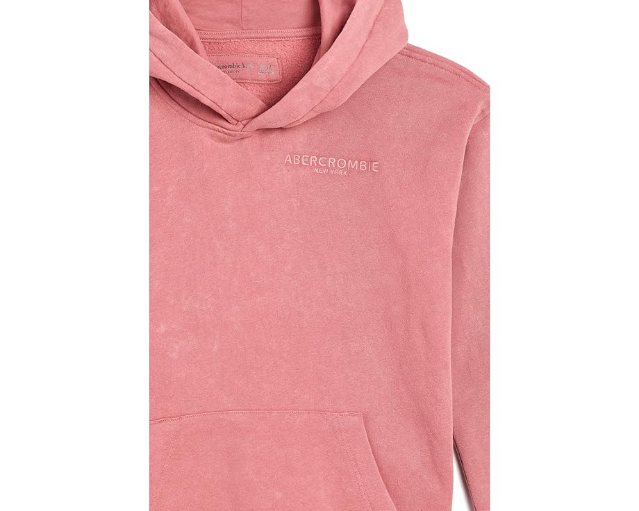 Выцветшая худи Sunfaded Pullover Hoodie abercrombie kids с капюшоном