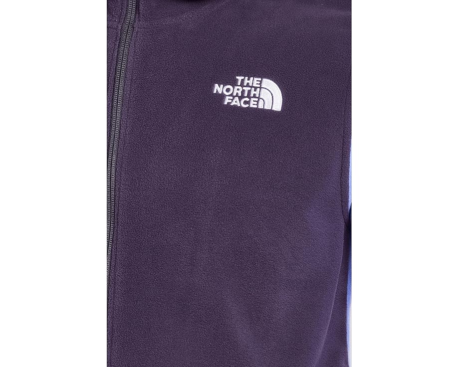Толстовка The North Face Kids Glacier Full Zip из переработанного флиса