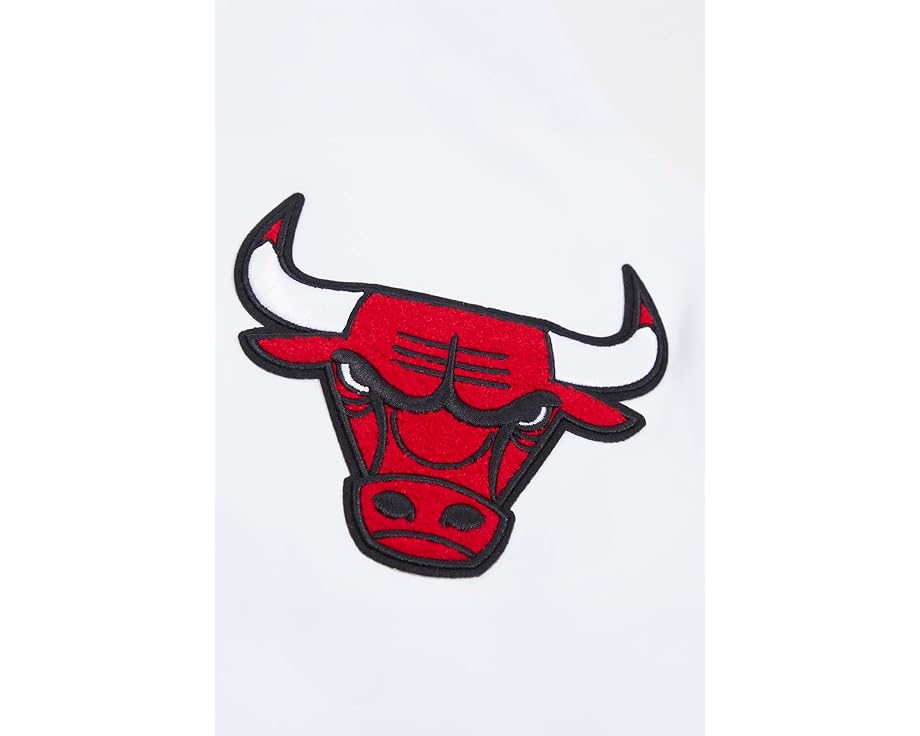 Худи NBA Pro Standard Classic Chenille с вышивкой логотипа