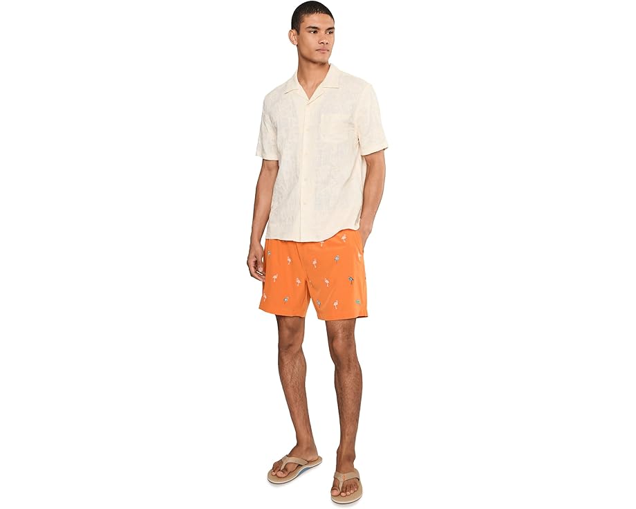 Плавки Tommy Bahama Naples Flamingle 6 с принтом фламинго и сетчатым вкладышем 25 дюймов