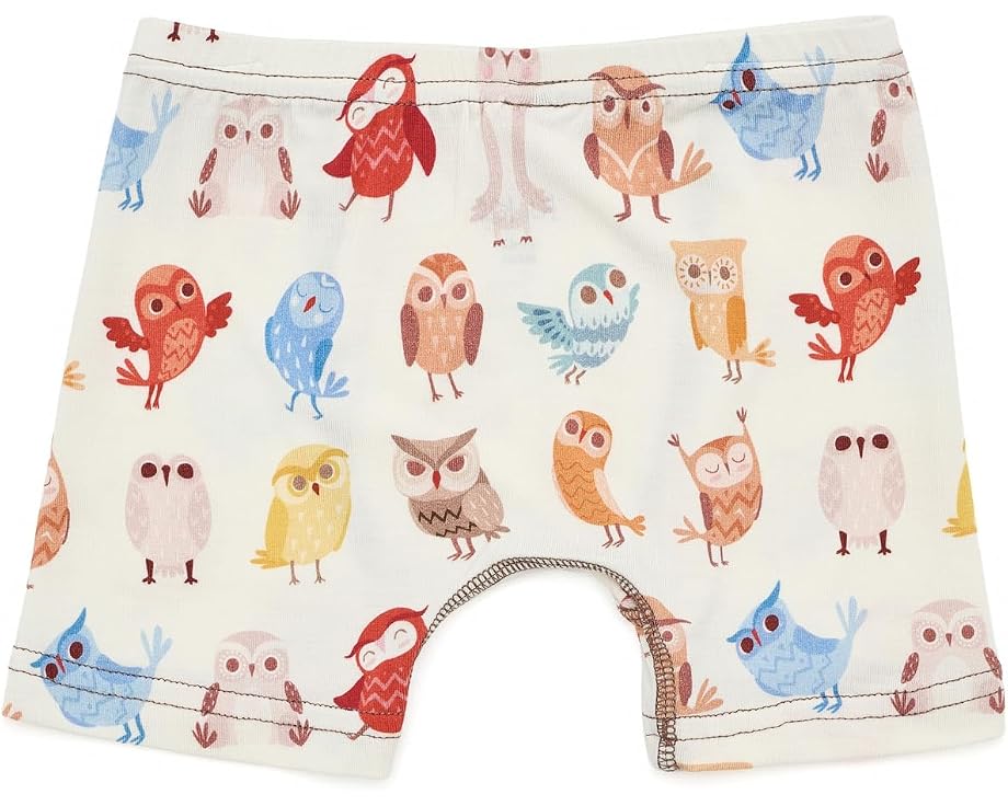Kickee Pants набор из 3 боксеров для мальчиков с принтом весеннее небо наука
