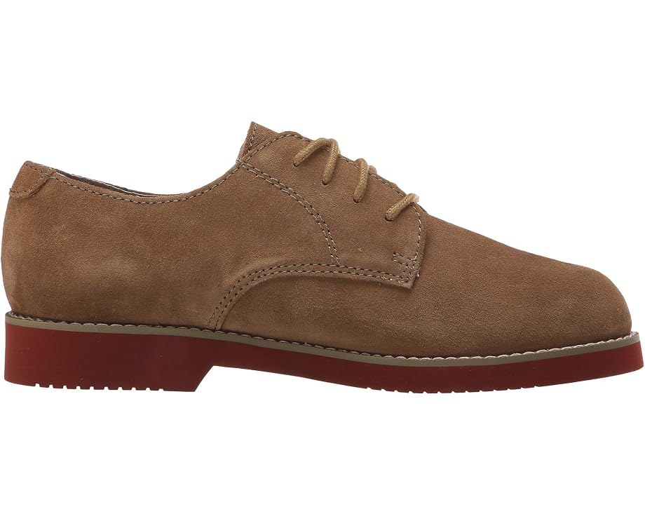 Ботинки Oxford Eastland 1955 Edition Buck