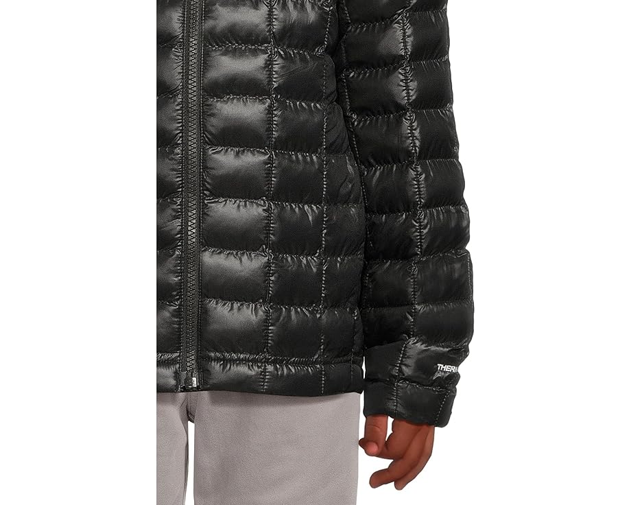 Детская утепленная куртка ThermoBall Hooded Jacket с капюшоном от The North Face Kids