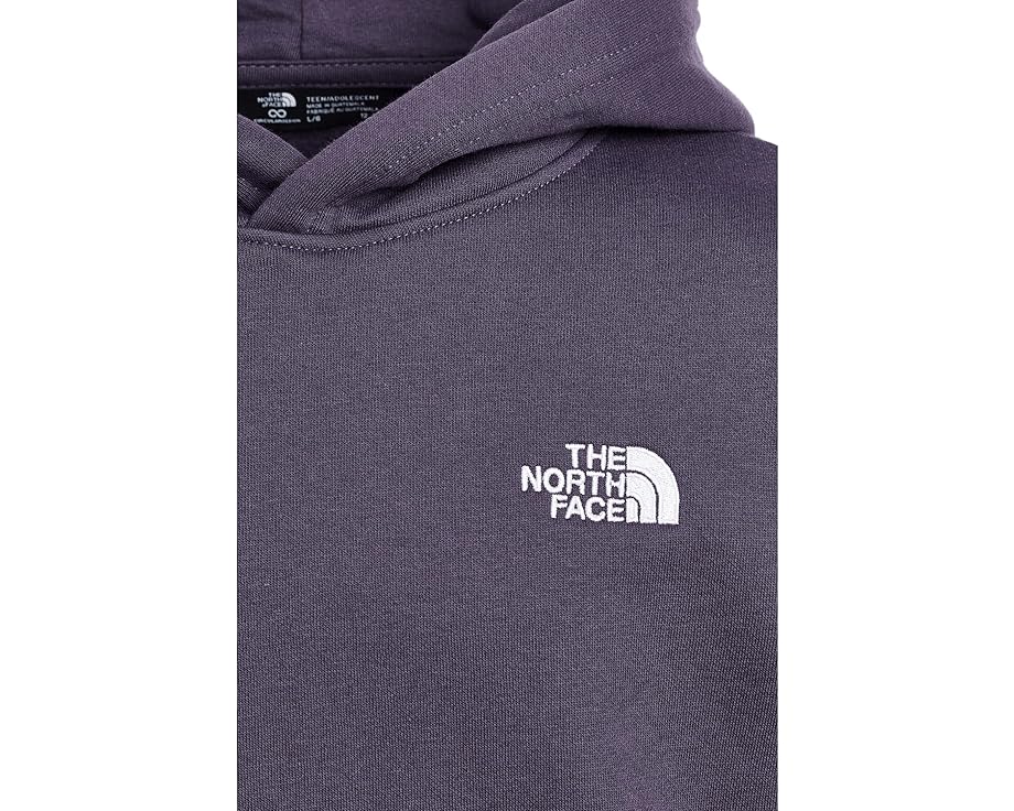 Худи The North Face Kids Evolution Simple Dome из переработанных материалов