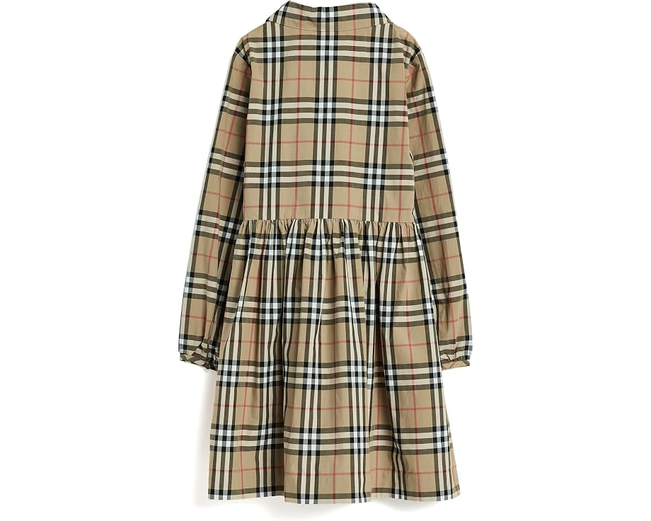 Winifred Check Dress (Toddler/Little Kid/Big Kid)
