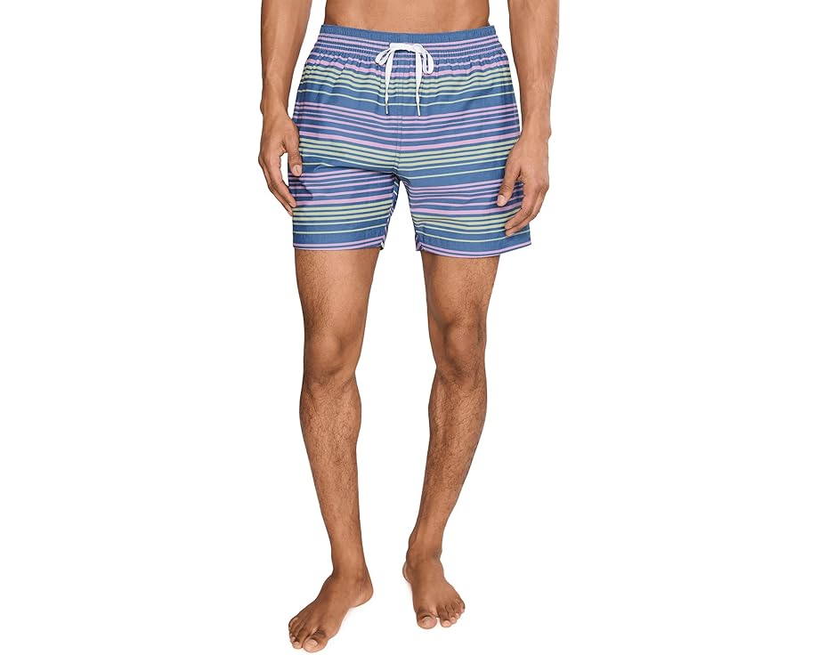 Плавки Chubbies The Blossom Bands 14 см в полоску с защитной подкладкой