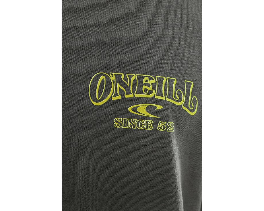 Повседневная футболка O'Neill Daily Driver Classic