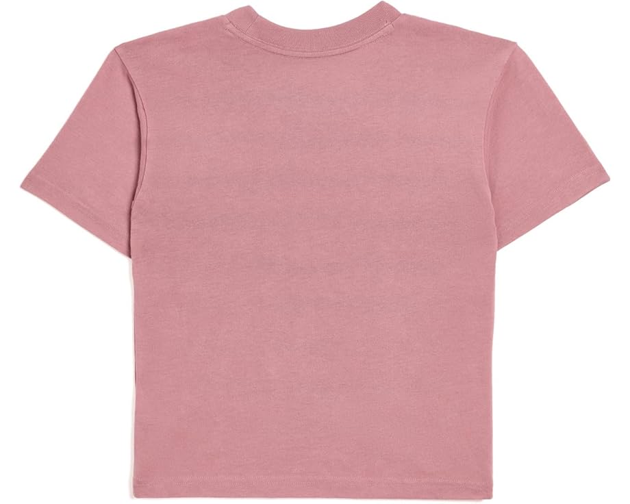 Топ Sunfaded Knit от abercrombie kids с принтом Canyon Sunset