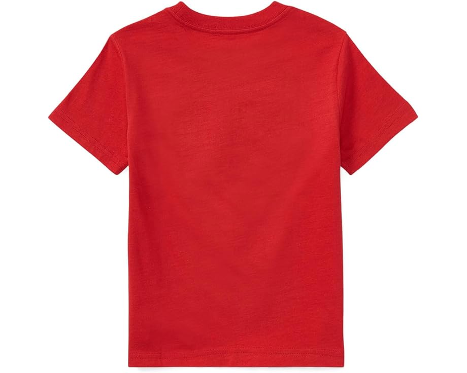 Детская футболка Polo Ralph Lauren Kids Flag Cotton с аппликацией флага