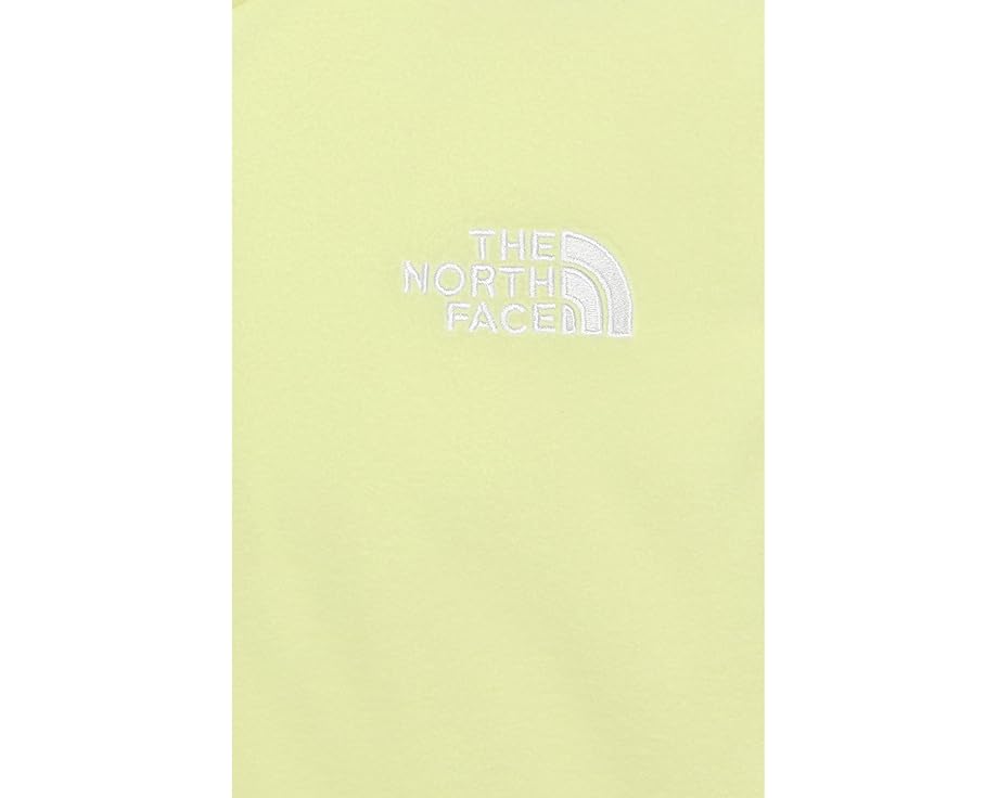 The North Face Детская толстовка Glacier 1/4 Zip из флиса TKA 100