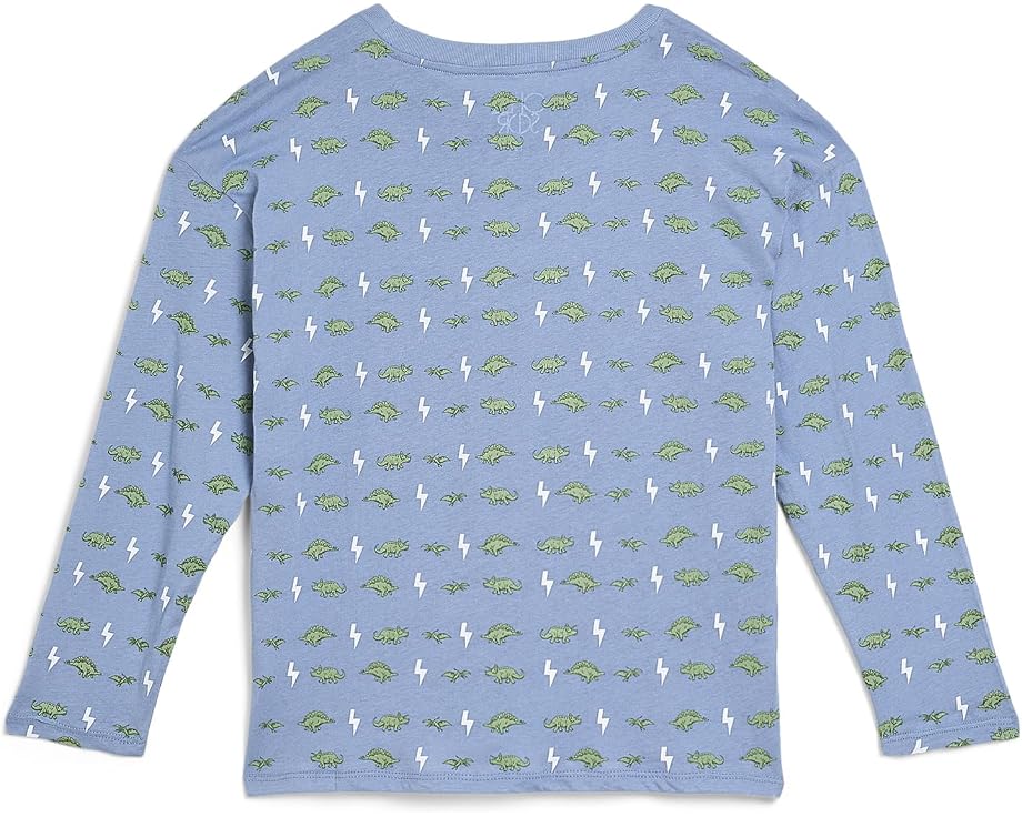 Chaser Kids Лонгслив Dino Bolts из хлопкового трикотажа