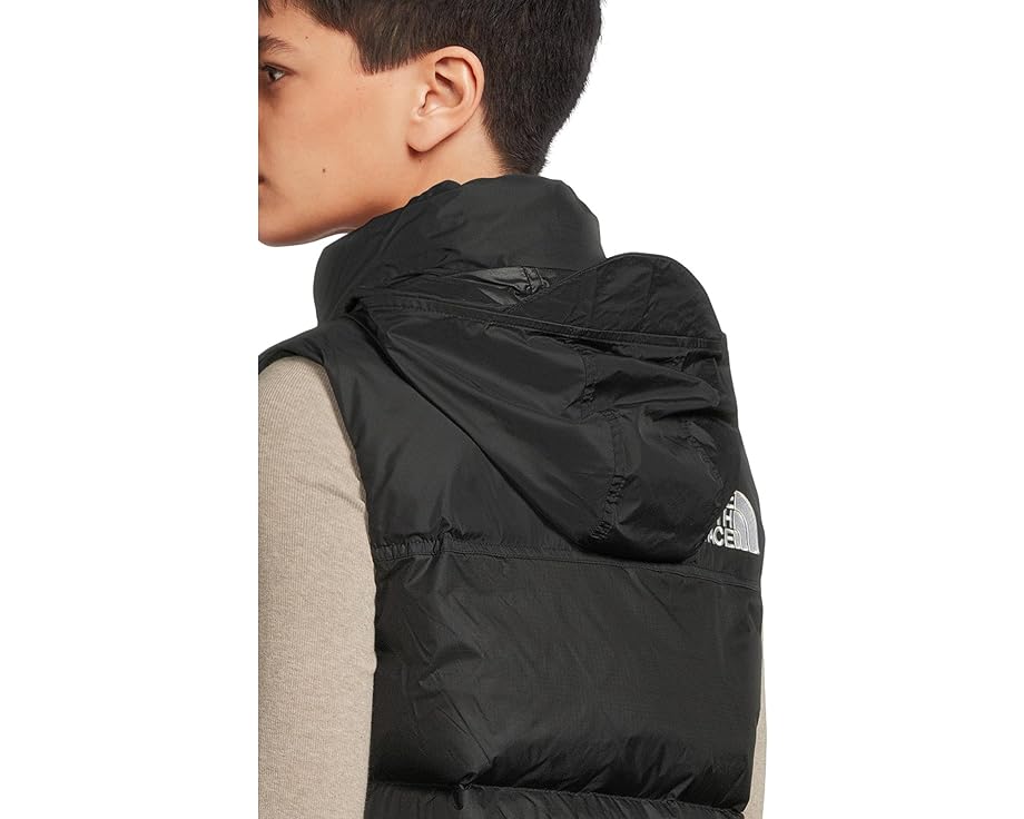 Жилет The North Face 1996 Retro Nuptse с наполнителем из гусиного пуха