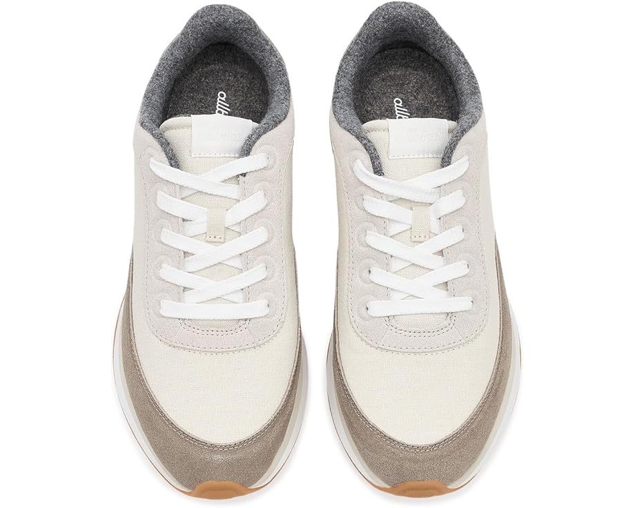 Кроссовки Allbirds Varsity из конопляного холста с подошвой SweetFoam