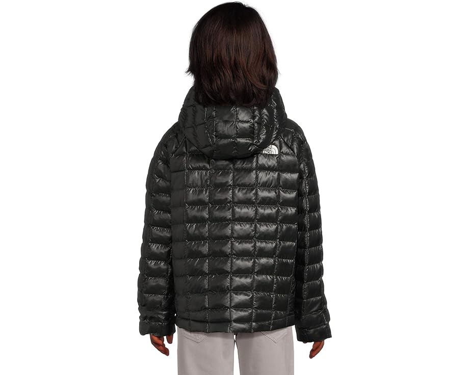 Детская утепленная куртка ThermoBall Hooded Jacket с капюшоном от The North Face Kids