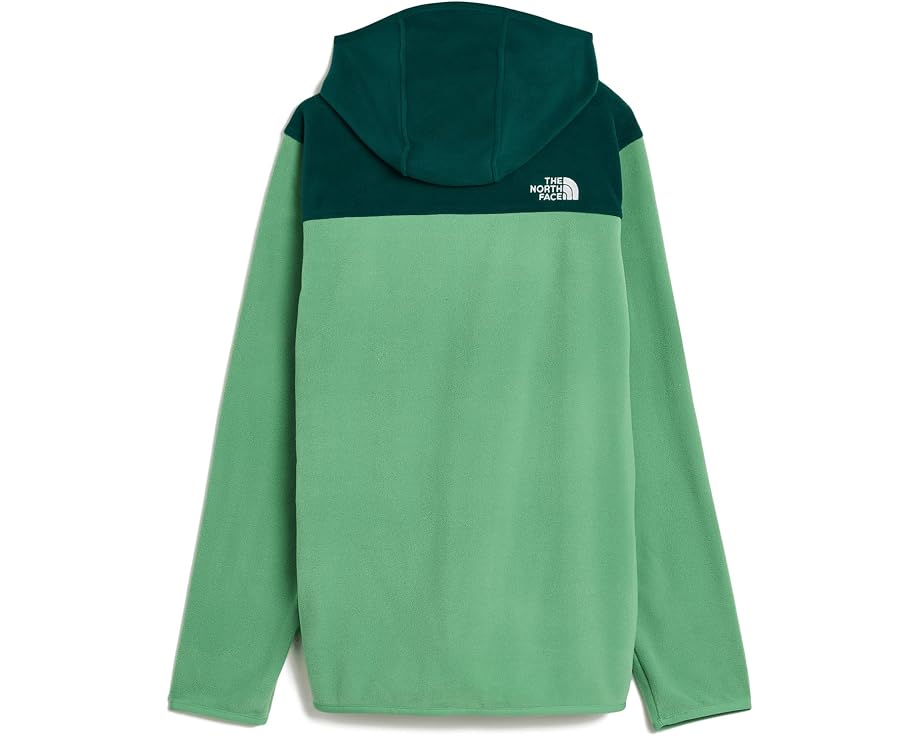 Детская флисовая кофта The North Face Glacier Full Zip с капюшоном