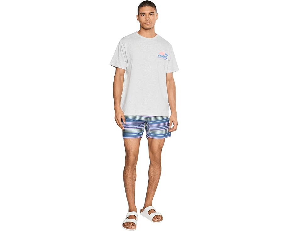 Плавки Chubbies The Blossom Bands 14 см в полоску с защитной подкладкой
