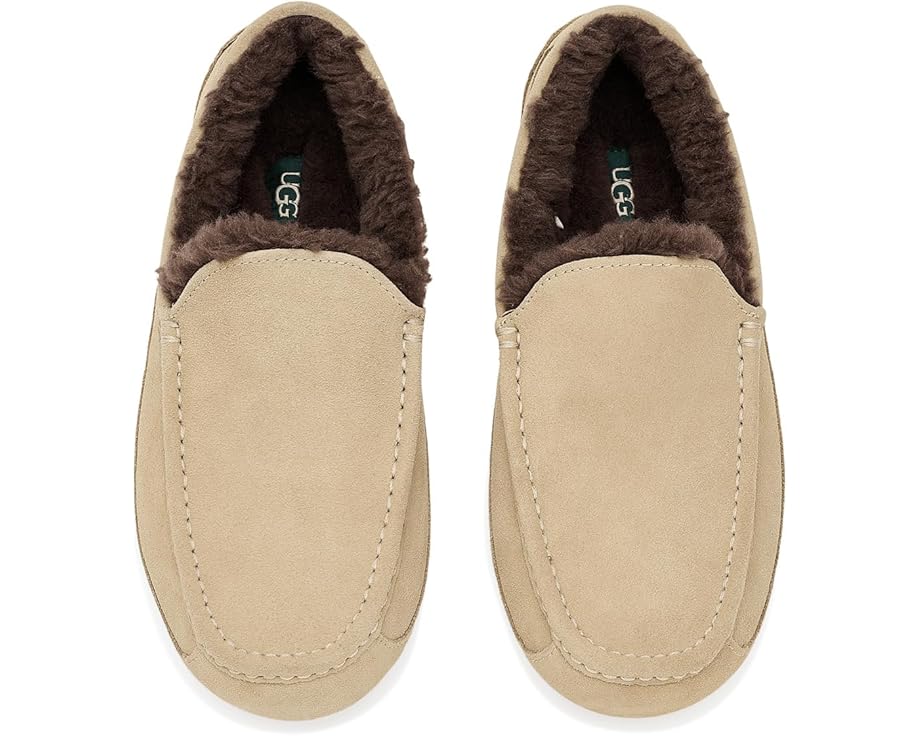 Тапочки UGG Ascot из натуральной замши с подкладкой UGGplush
