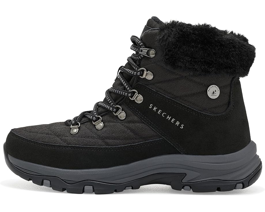 Зимние ботинки Skechers Trego Stormie Frost водостойкие