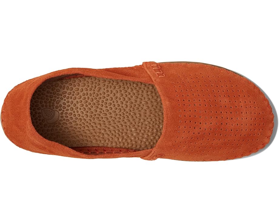 Тапочки Addison Suede Moc Acorn из замши с перфорацией