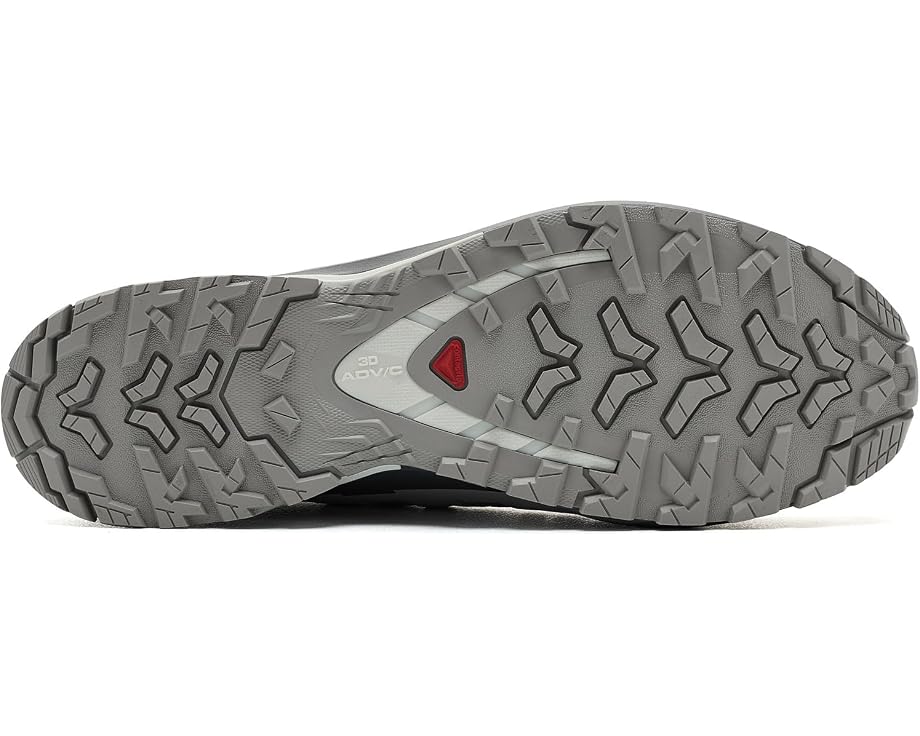 Трейловые кроссовки XA Pro 3D V9 GORE-TEX Salomon