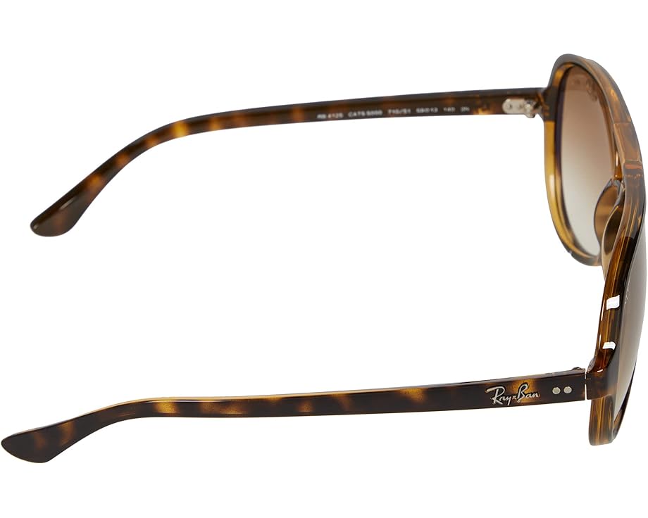 Очки Ray-Ban 0RB4125 с градиентными линзами