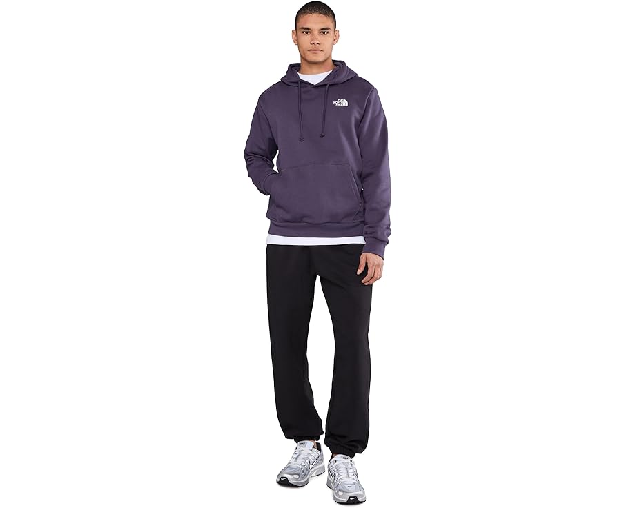Толстовка The North Face Evolution Box NSE с капюшоном и принтом на спине