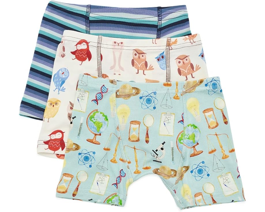 Kickee Pants набор из 3 боксеров для мальчиков с принтом весеннее небо наука