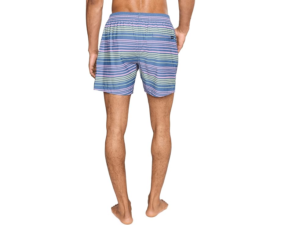 Плавки Chubbies The Blossom Bands 14 см в полоску с защитной подкладкой