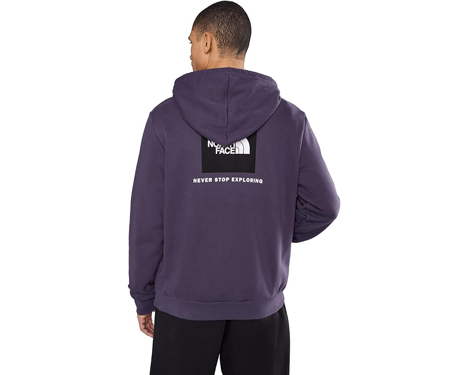 Толстовка The North Face Evolution Box NSE с капюшоном и принтом на спине