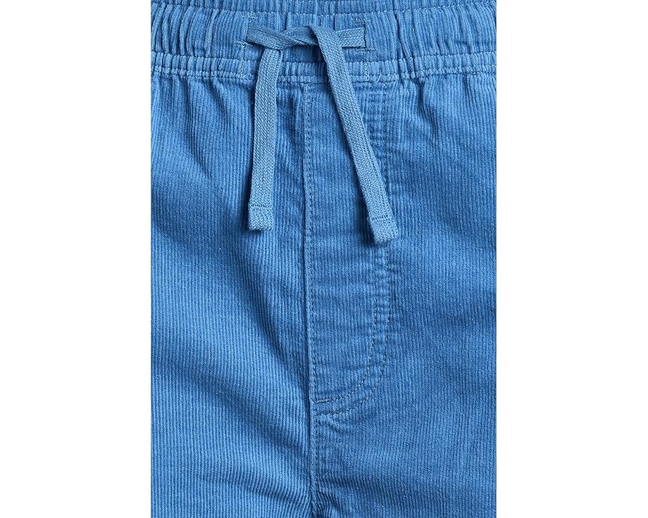 Quiksilver Kids Детские шорты Taxer Cord из мягкого вельвета с расслабленным кроем