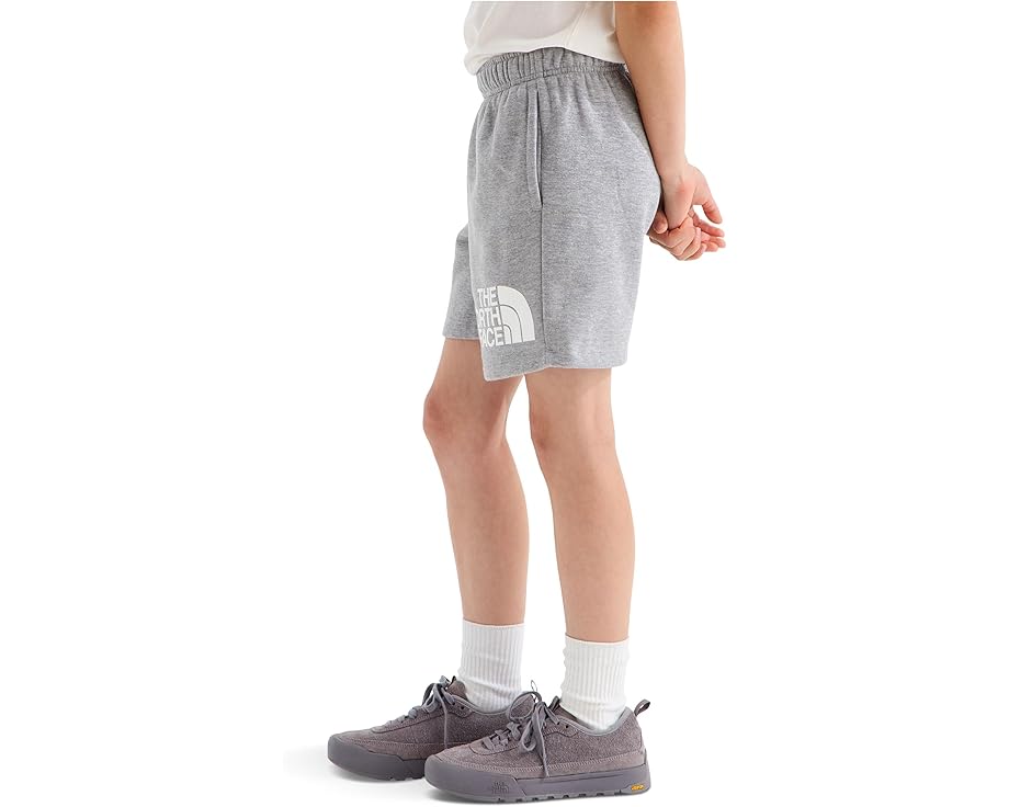Шорты The North Face Kids Evolution Half Dome длиной 5 дюймов