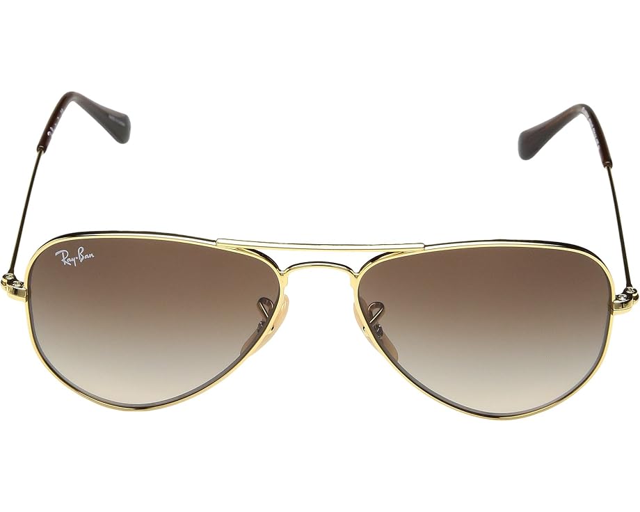 RJ9506S Aviator Sunglasses (Little Kid/Big Kid)