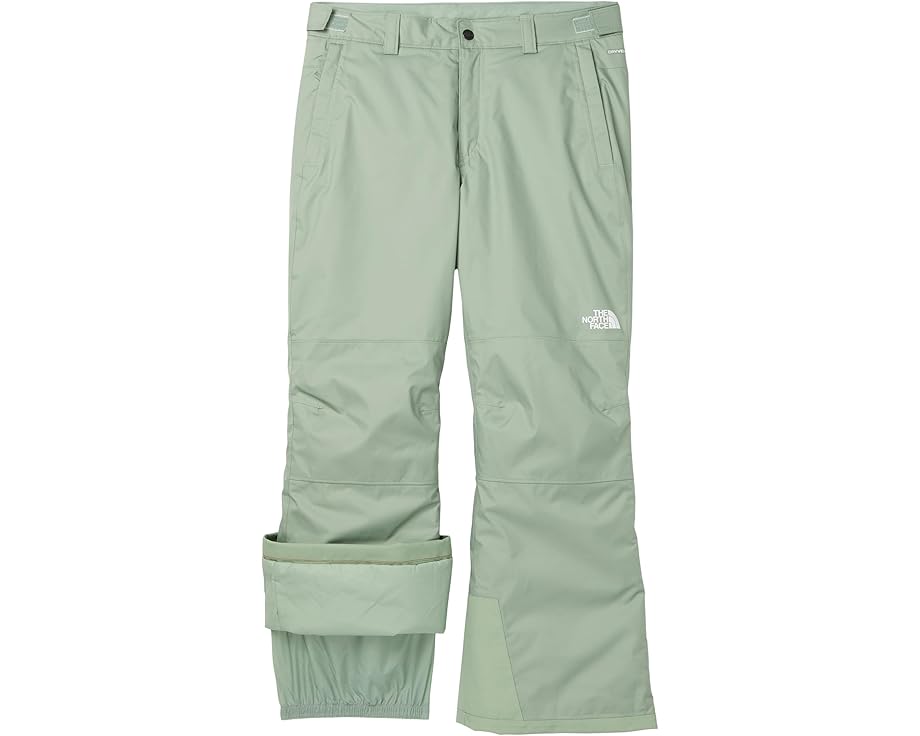 Утепленные штаны The North Face Freedom для детей с технологией DryVent