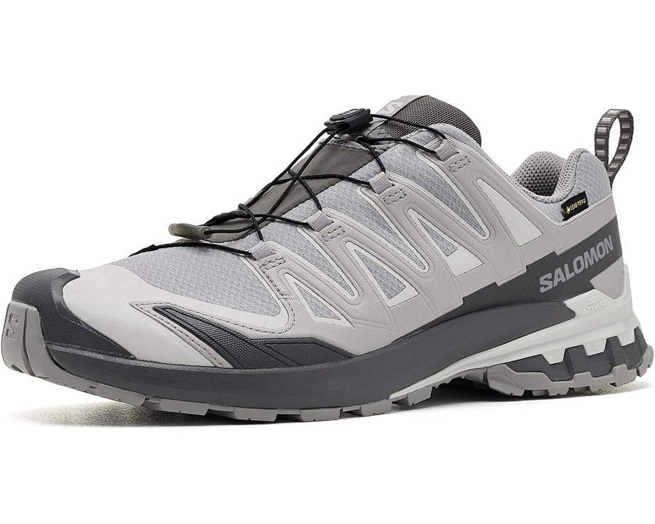 Трейловые кроссовки XA Pro 3D V9 GORE-TEX Salomon