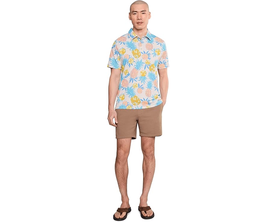Шорты Chubbies The Cinnamon Dusts Comfort