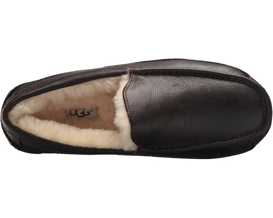 UGG Ascot Leather домашние тапочки с подкладкой UGGPlush