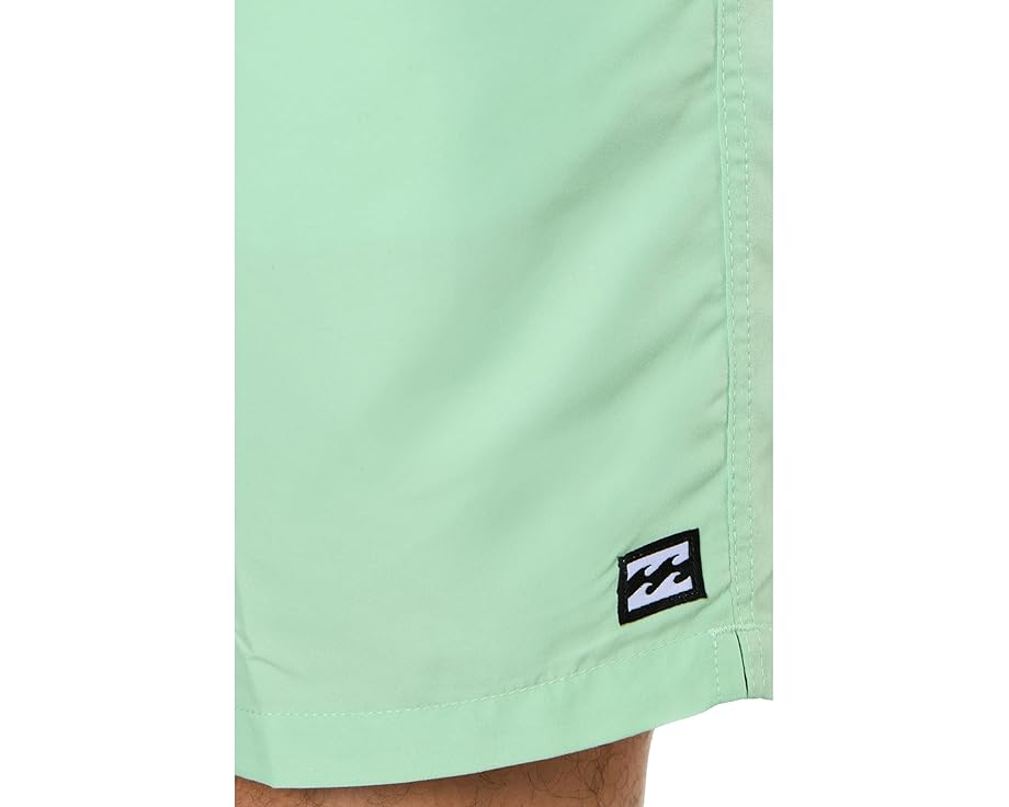 Шорты Billabong Las Buenas Solid LB Mist Green