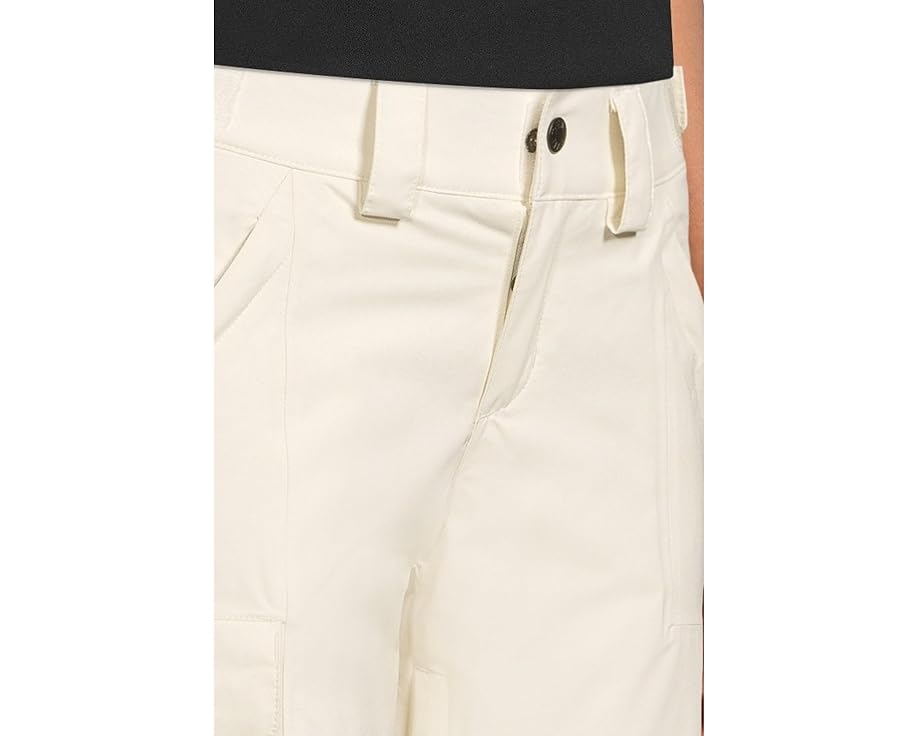 Утепленные штаны The North Face Freedom Insulated Pant с технологией DryVent