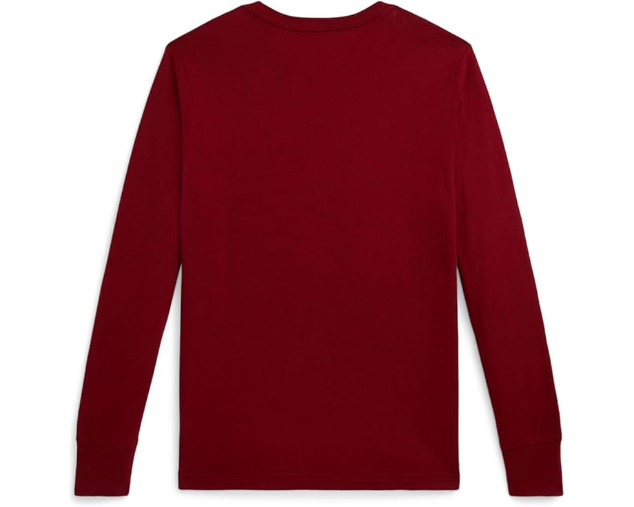 Футболка с длинным рукавом и логотипом из хлопка Polo Ralph Lauren Kids для детей